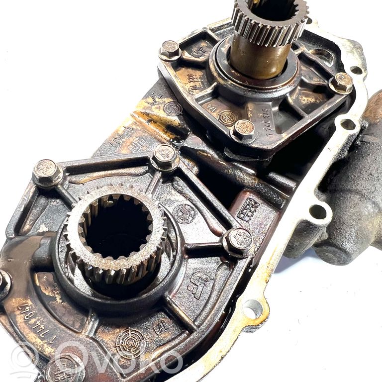 Sadales vārpstas skriemelis / "Vanos"