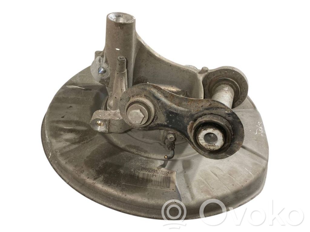 Rear wheel hub shaft joint (stupica, capfa)