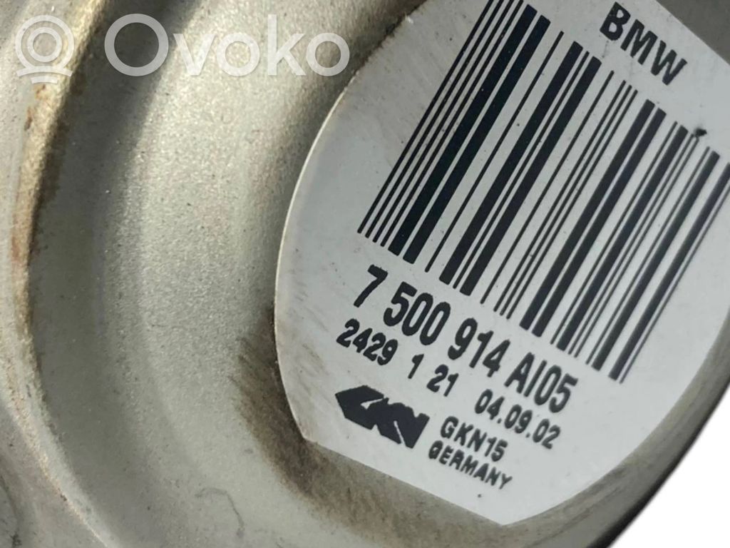 Aizmugurējā pusass