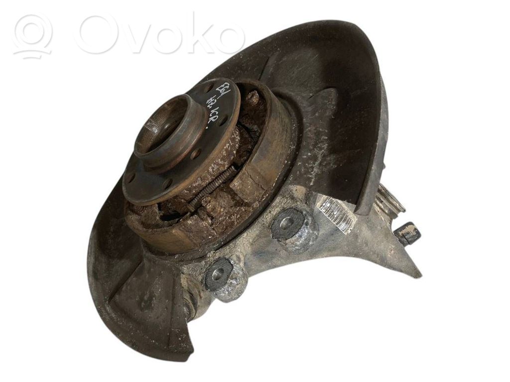Rear wheel hub shaft joint (stupica, capfa)