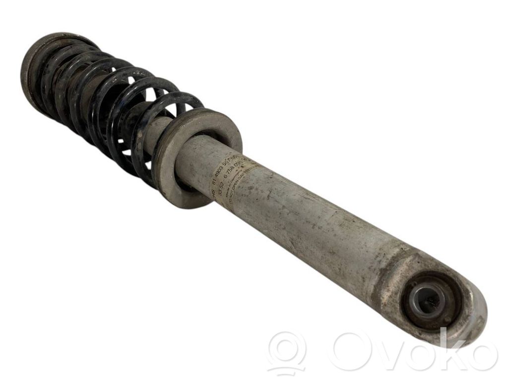 Rear shock absorber with spring