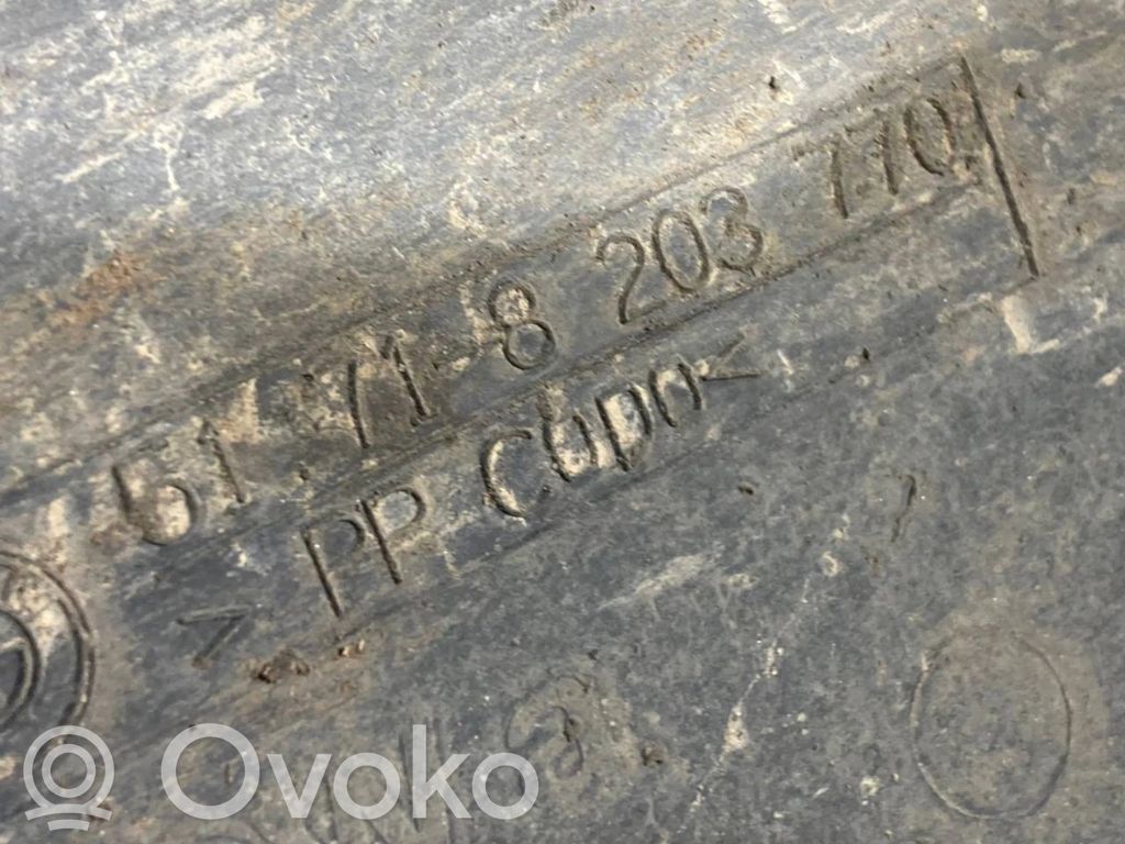 Aizmugurējais apakšspārns