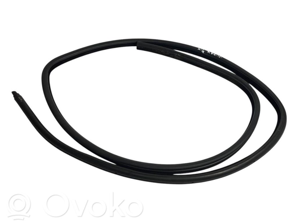 Rear trim rubber (in the body)