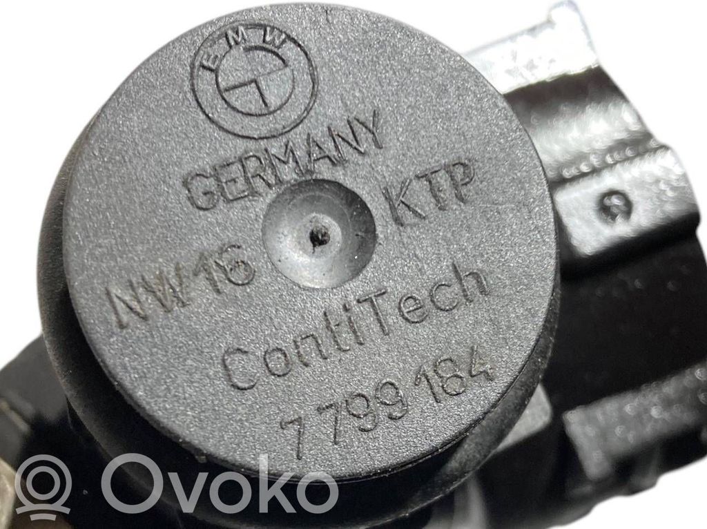 Caurulīte (-es) / šļūtene (-es)