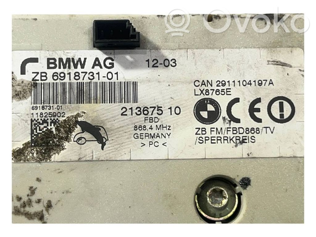Antenna amplifier