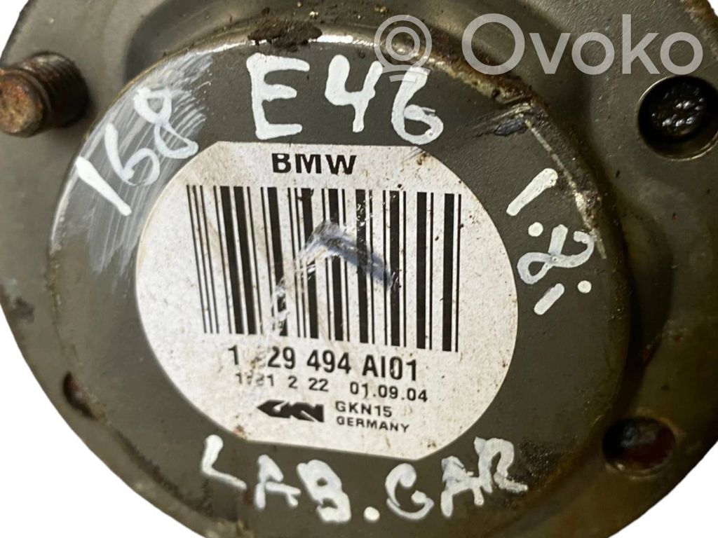 Aizmugurējā pusass