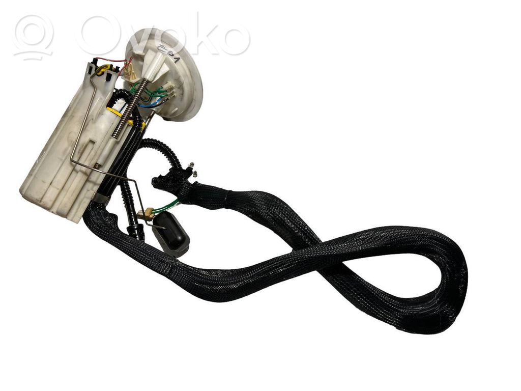 Fuel pump (in the fuel tank)