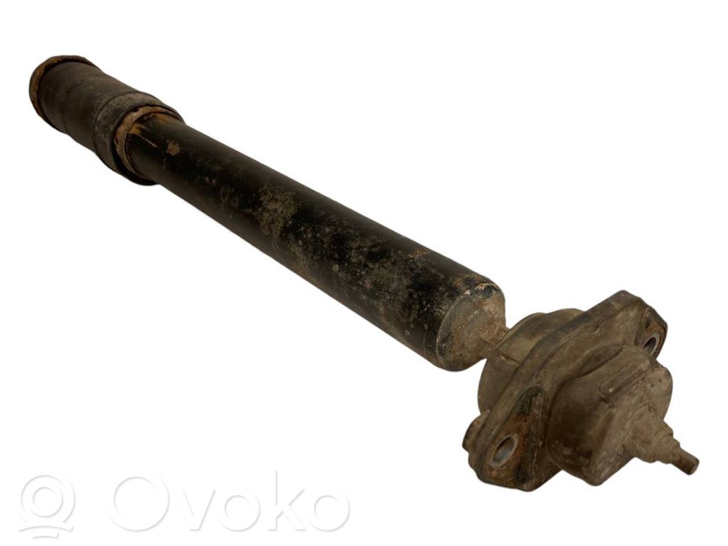 Rear shock absorber