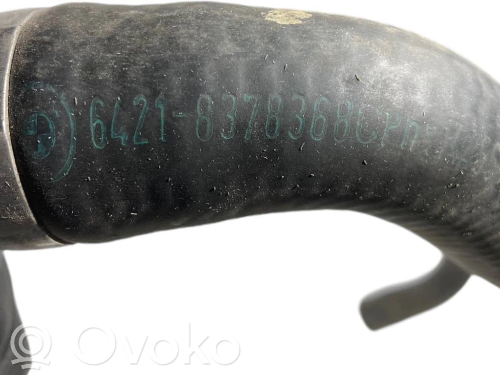 Caurulīte (-es) / šļūtene (-es)