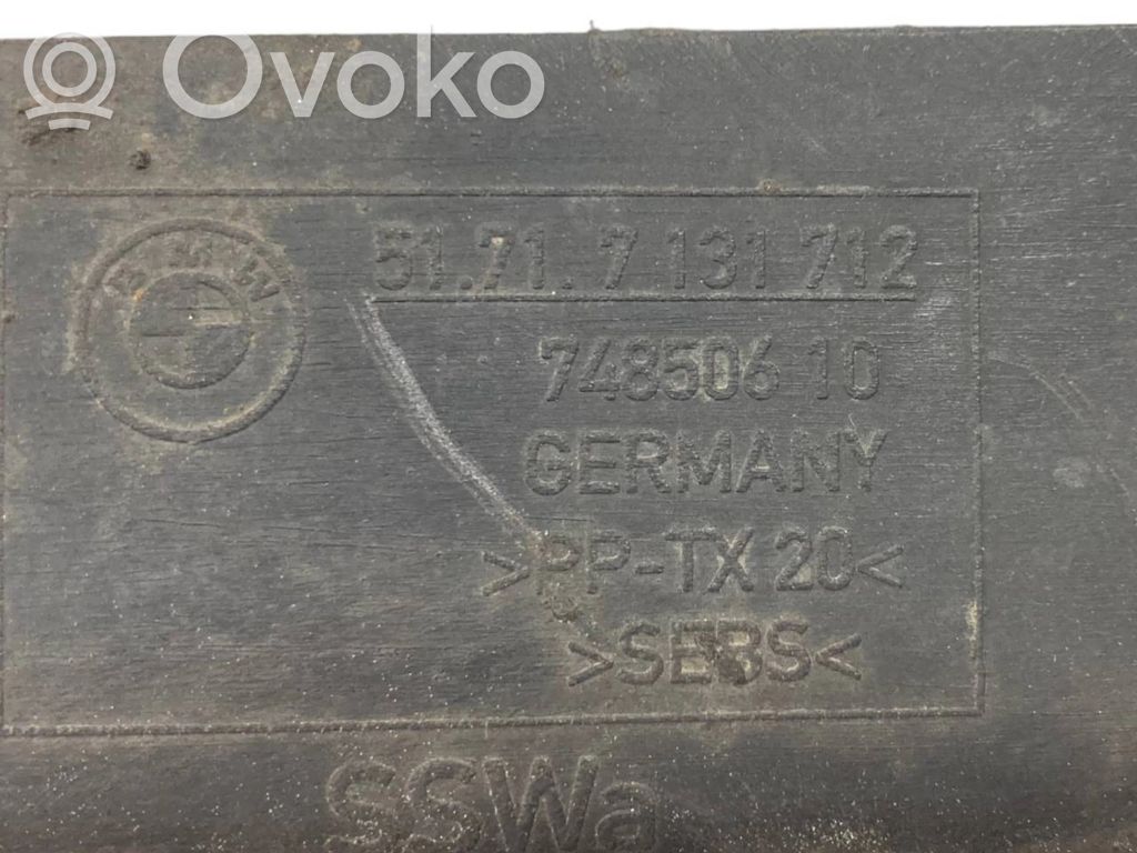 Under engine guard (front)