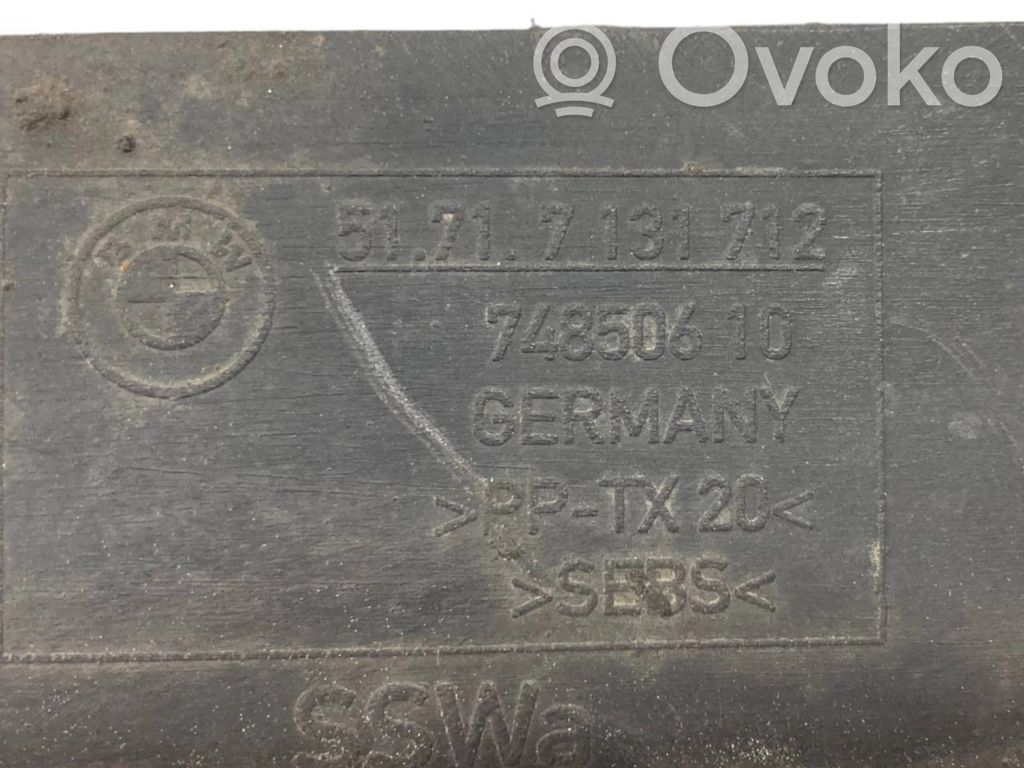 Under engine guard (front)