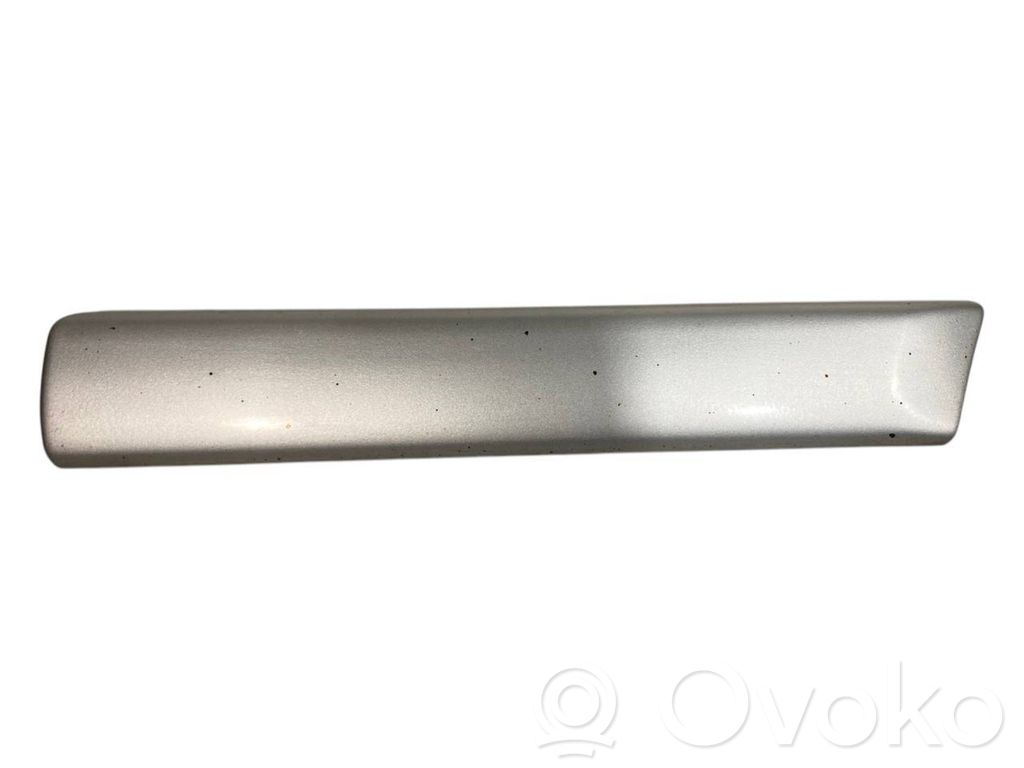 Fender decorative trim (molding)
