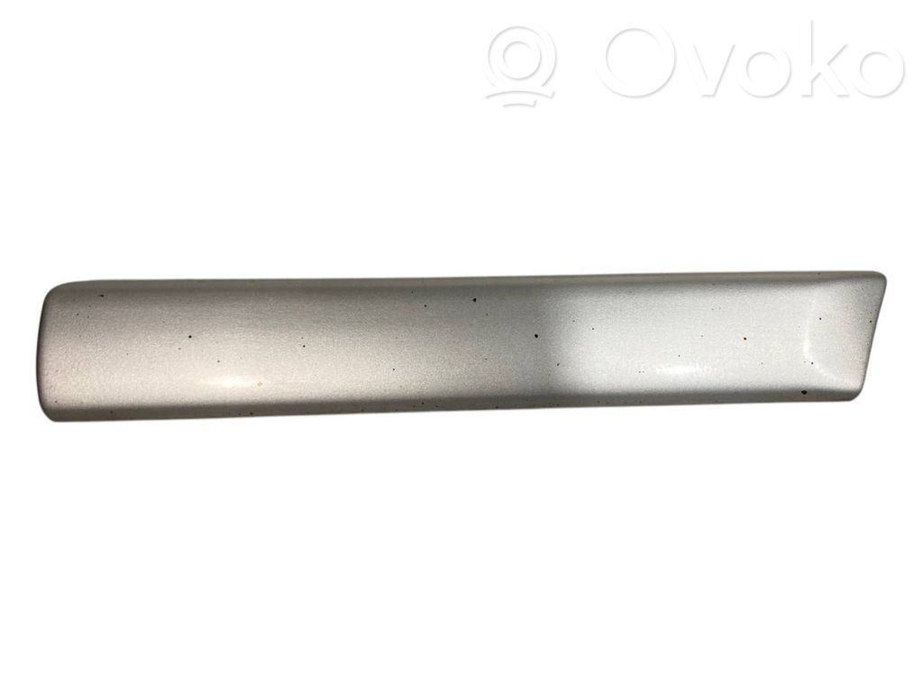 Fender decorative trim (molding)