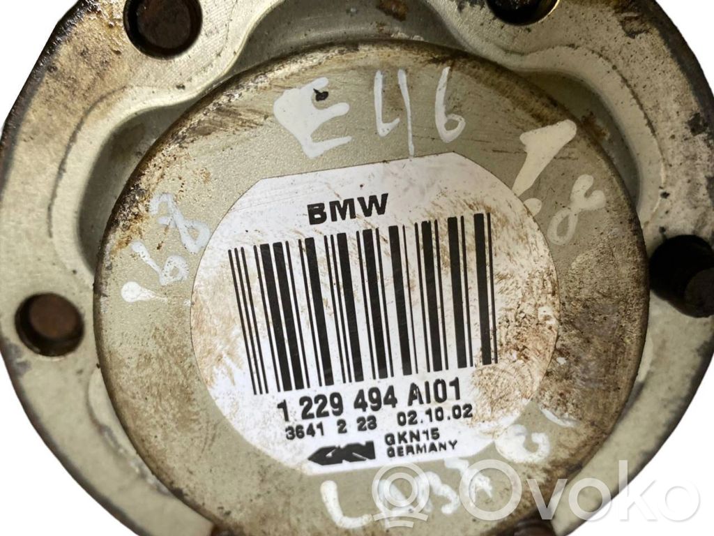 Aizmugurējā pusass