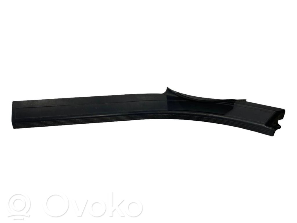 Rear door sill trim (inner)
