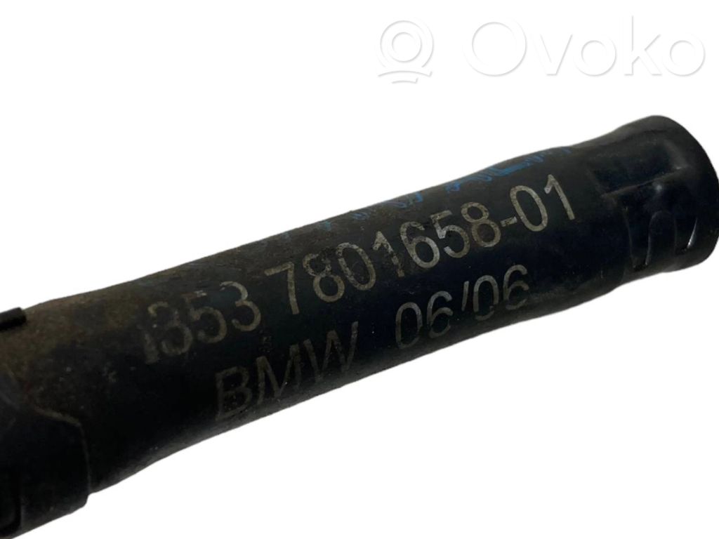 Caurule (-es) / šļūtene (-es)