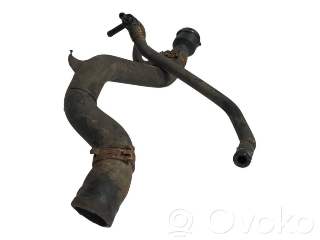 Caurulīte (-es) / šļūtene (-es)