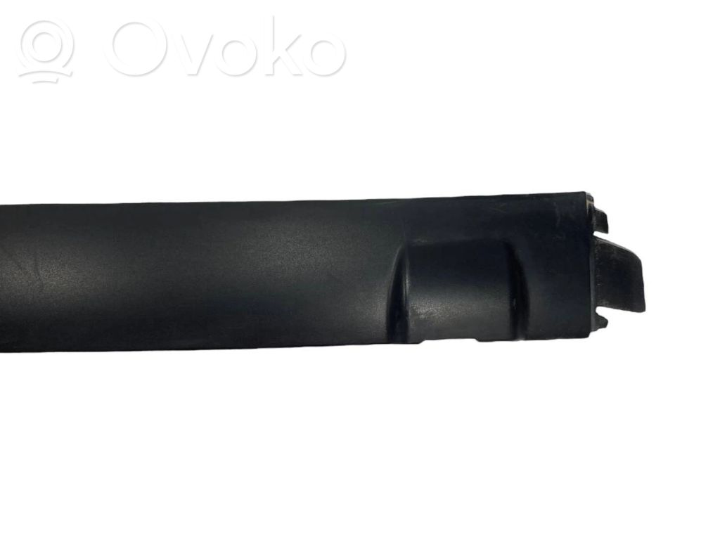 Trunk decorative trim