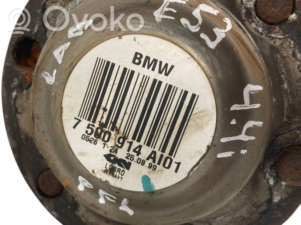 Aizmugurējā pusass