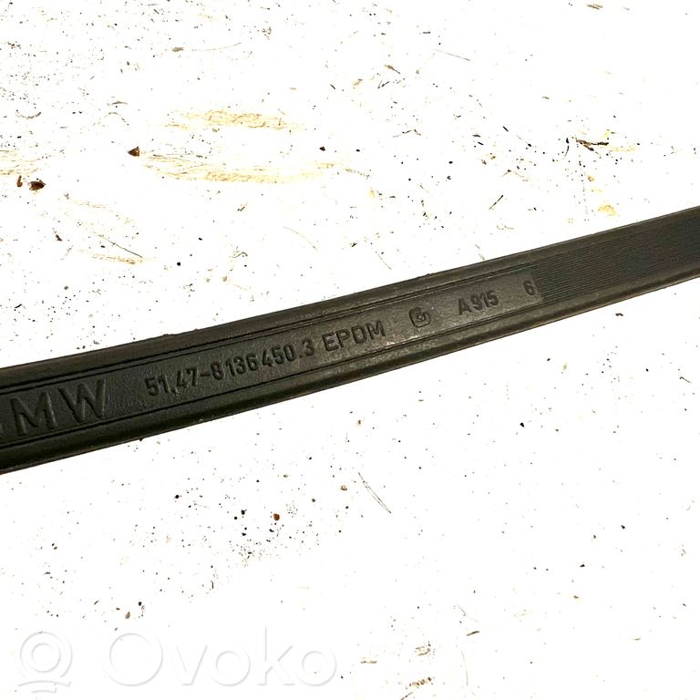 Cita veida bagāžnieka dekoratīvās apdares detaļa