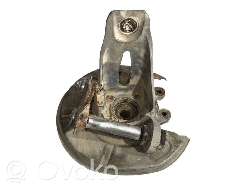 Rear wheel hub shaft joint (stupica, capfa)