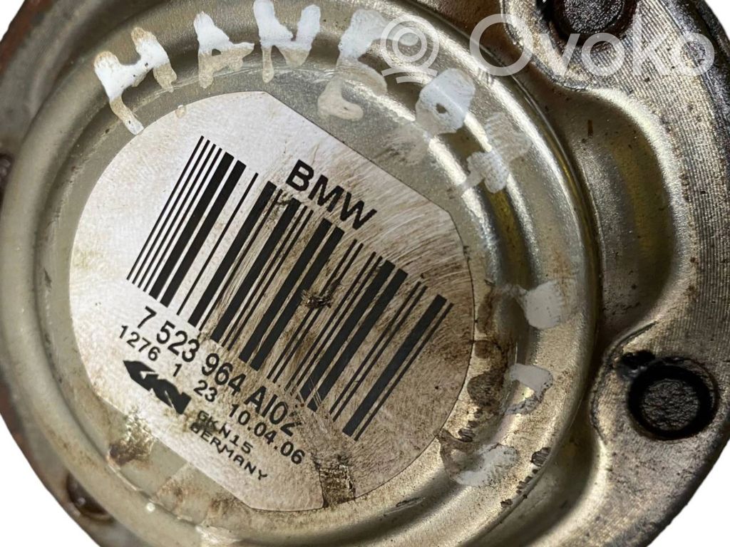 Aizmugurējā pusass