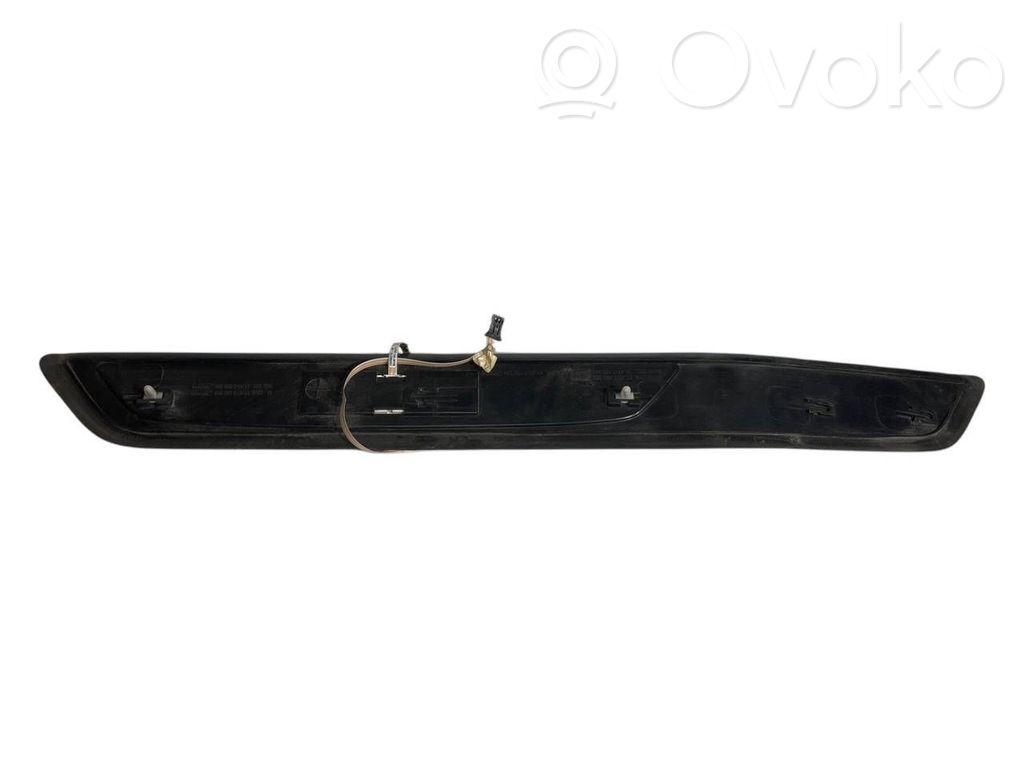 Rear door sill trim (inner)