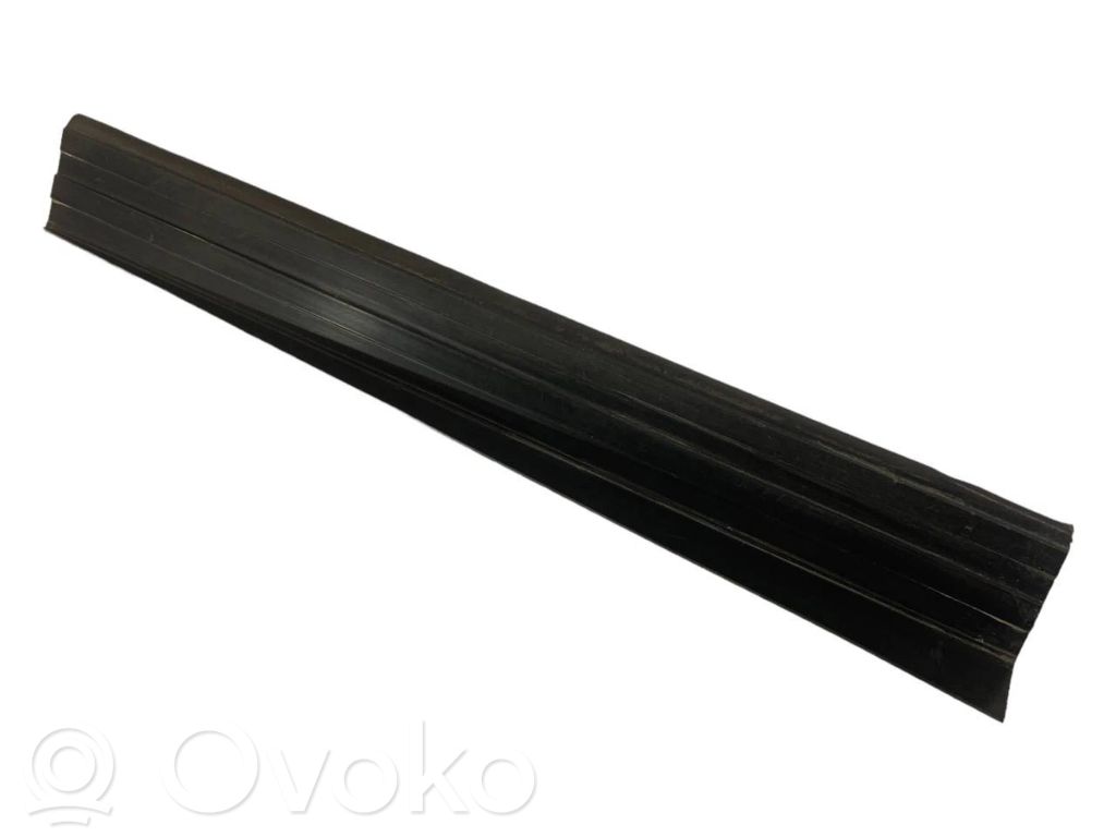 Rear door sill trim (external)