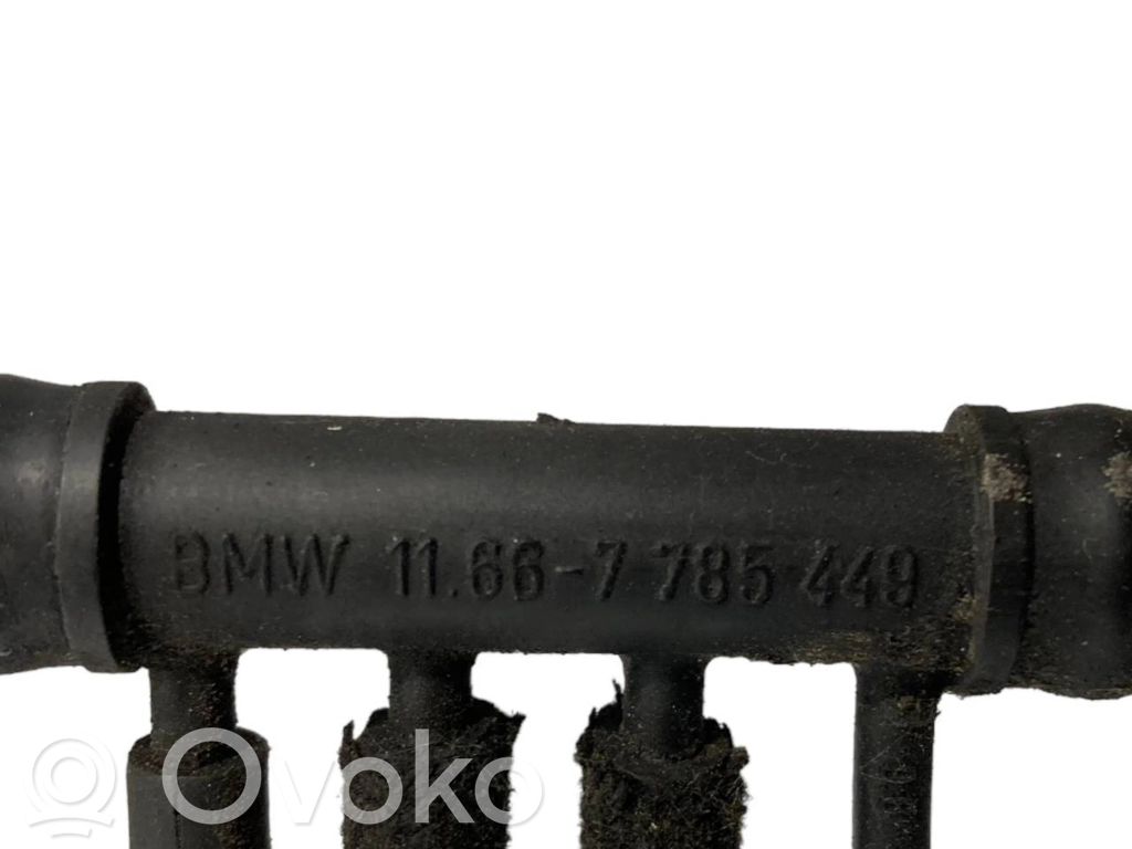 Caurulīte (-es) / šļūtene (-es)