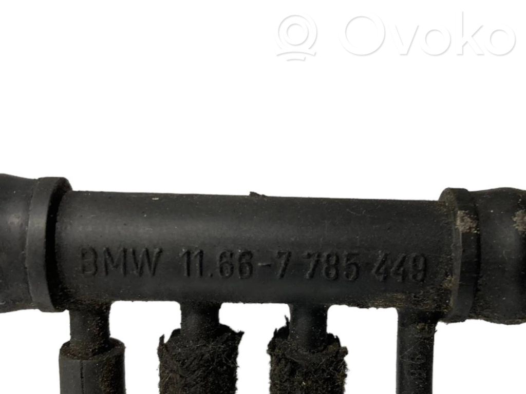 Caurulīte (-es) / šļūtene (-es)