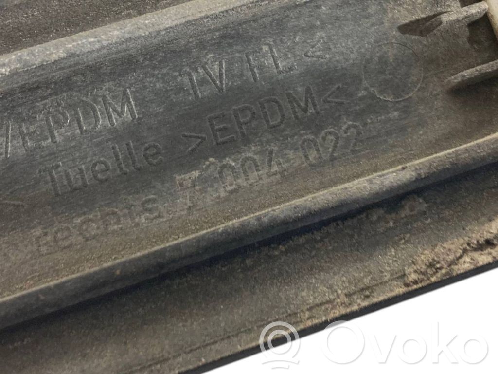 Fender decorative trim (molding)