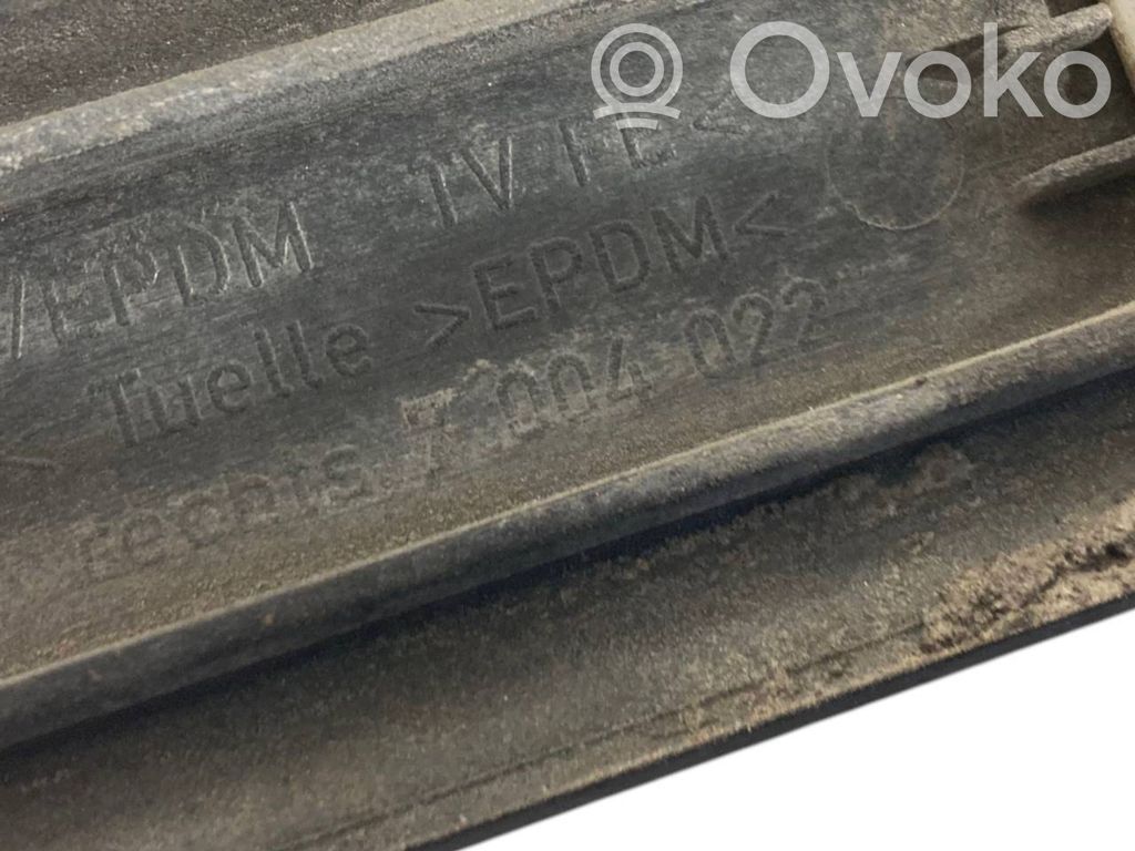 Fender decorative trim (molding)