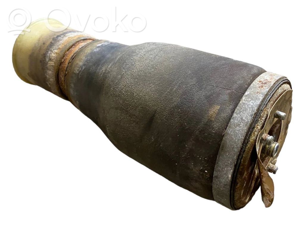 Rear airbag