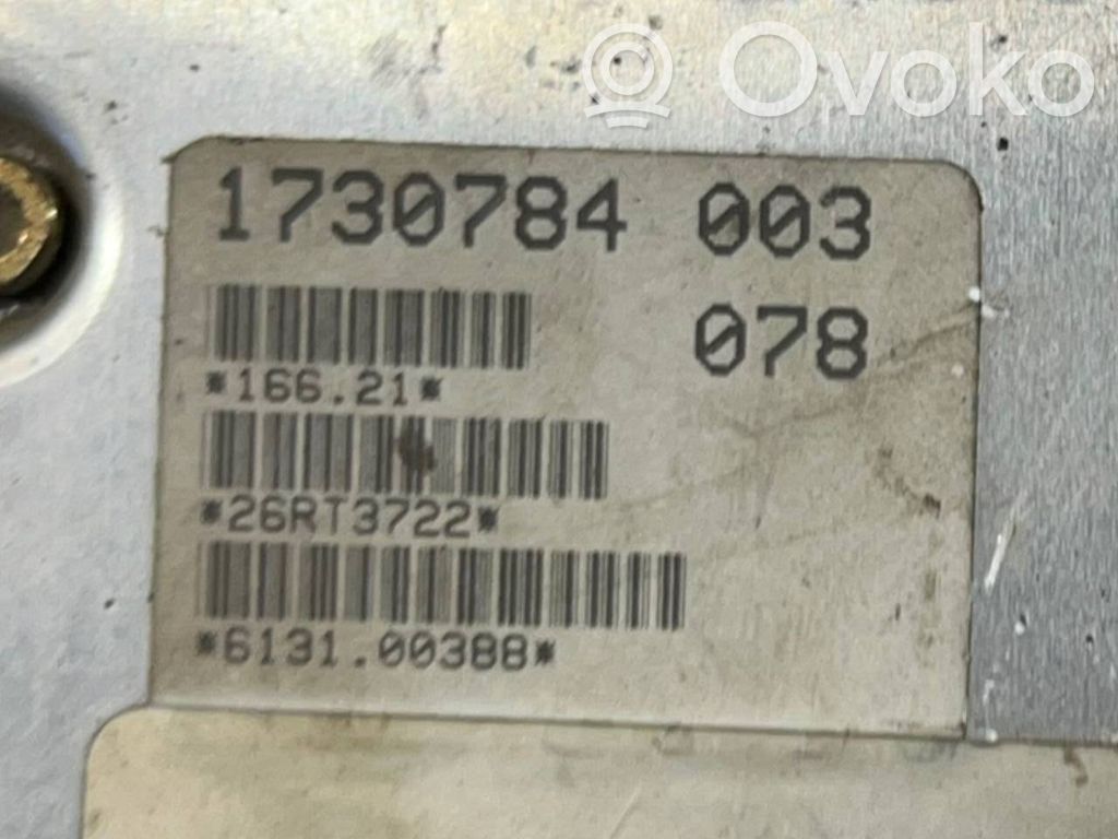 Panel decorative trim shield (central)