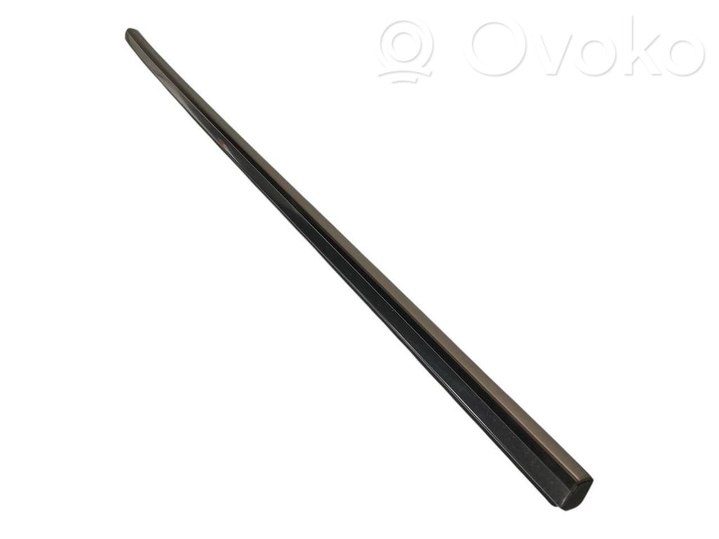 Aizmugurē durvju dekoratīvā apdare (moldings)