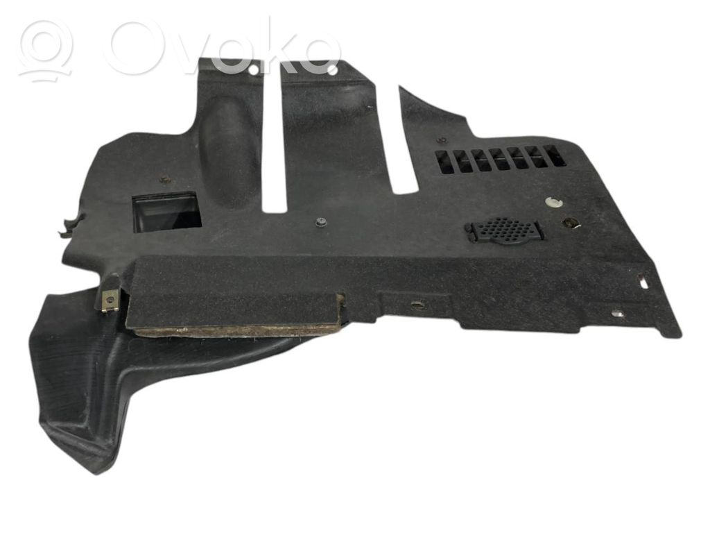Panel decorative trim shield (lower)
