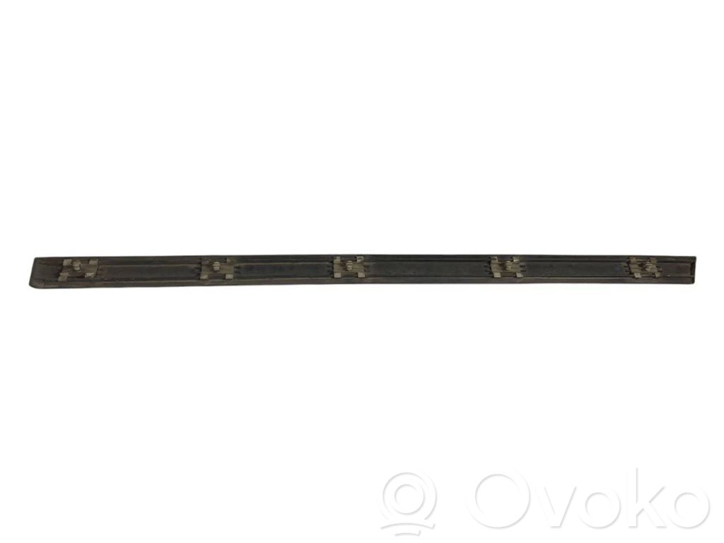 Aizmugurē durvju dekoratīvā apdare (moldings)