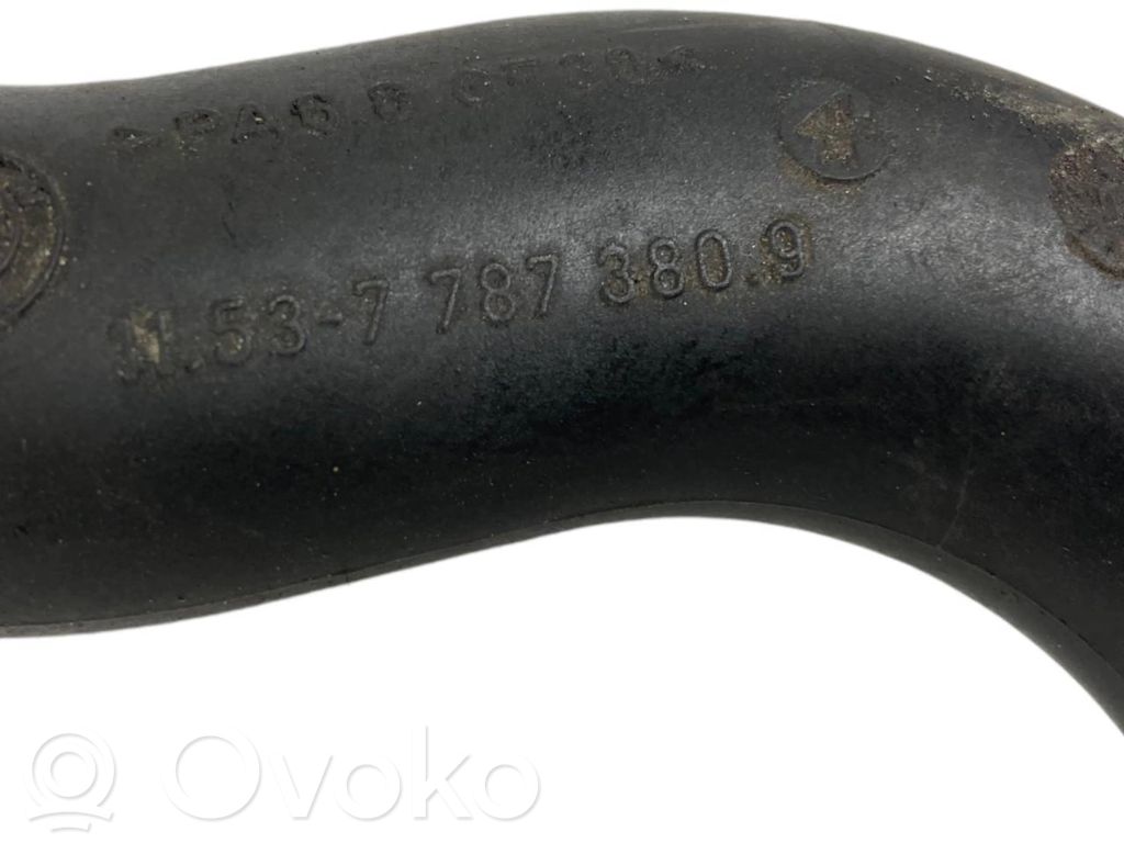 Caurulīte (-es) / šļūtene (-es)