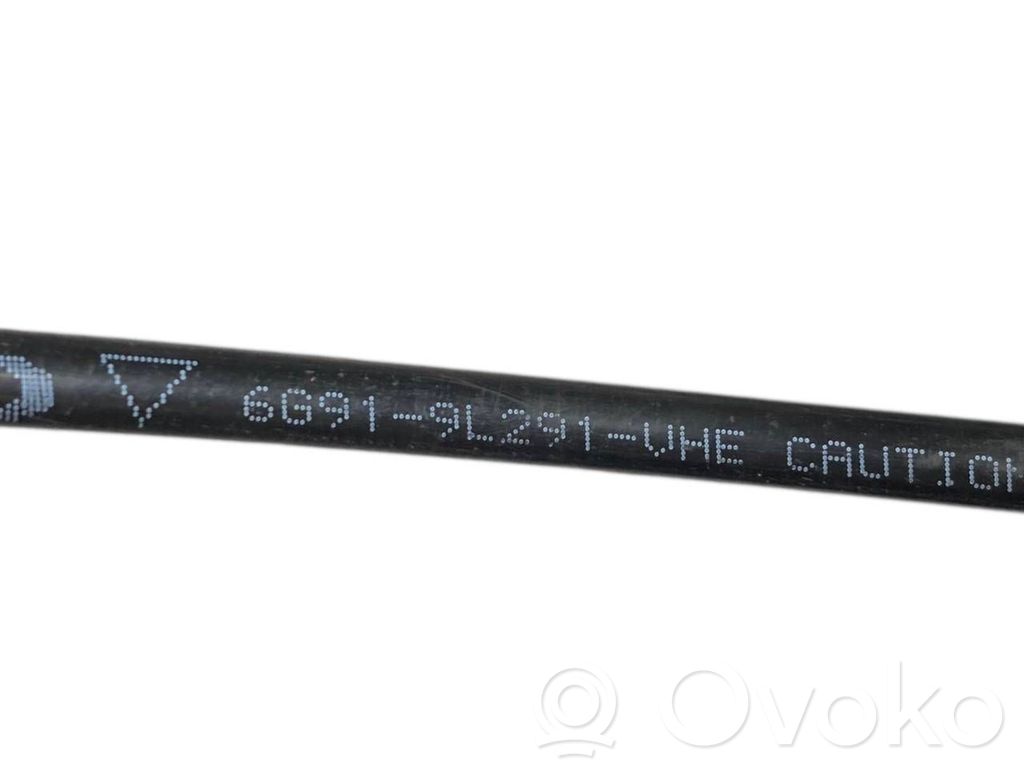 Caurule (-es) / šļūtene (-es)