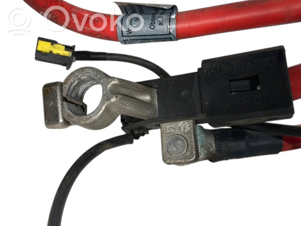 Plusa vads (akumulatora)