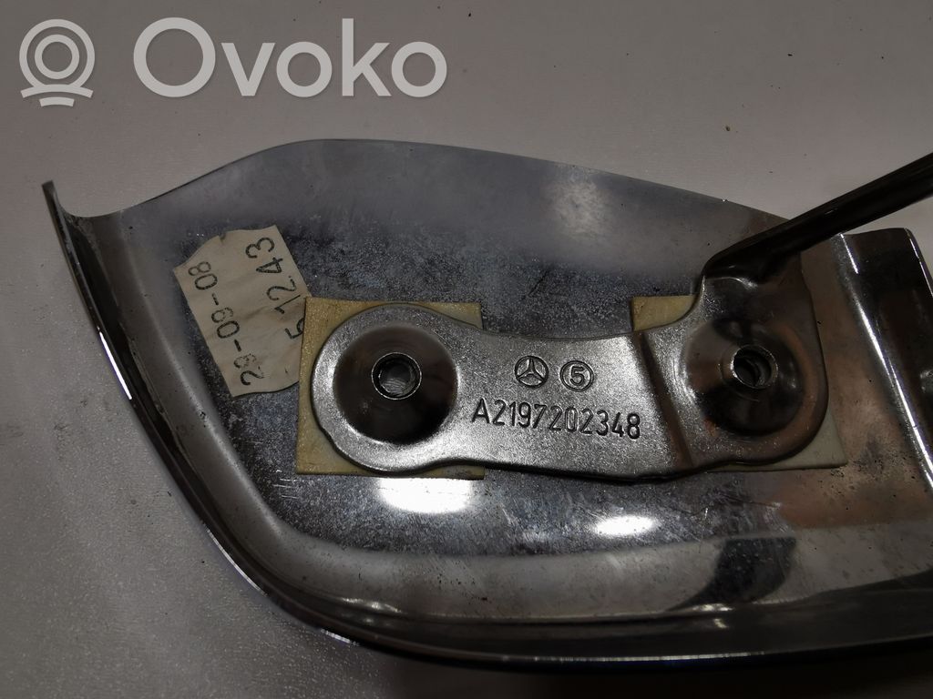Cita veida priekšpusē durvju dekoratīvās apdares detaļa