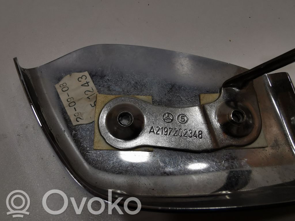 Cita veida priekšpusē durvju dekoratīvās apdares detaļa