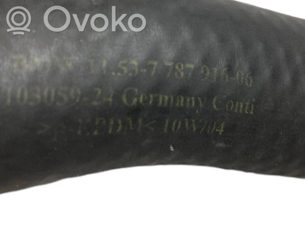 Caurulīte (-es) / šļūtene (-es)