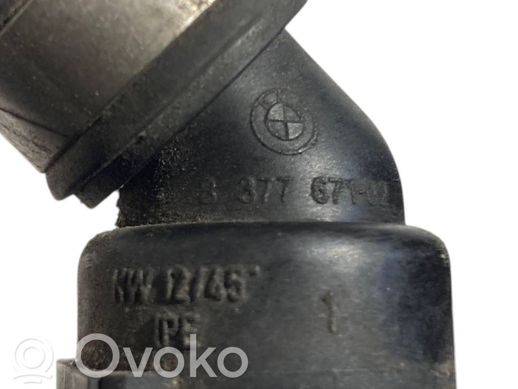 Caurulīte (-es) / šļūtene (-es)