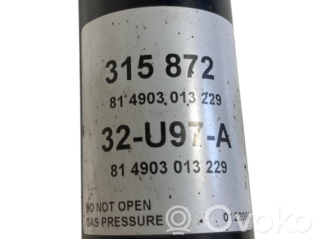 Aizmugurē amortizators