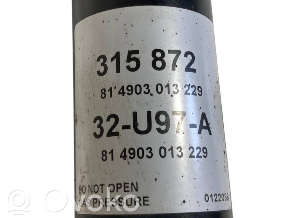 Rear shock absorber