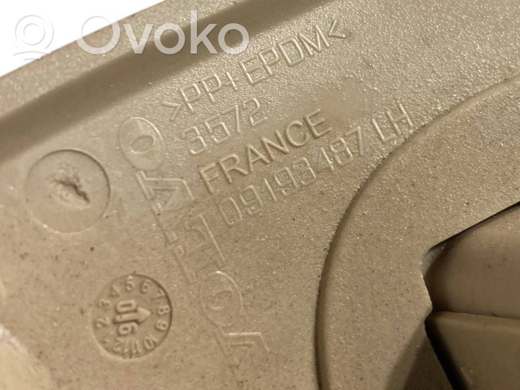 Aizmugurējais rokturis