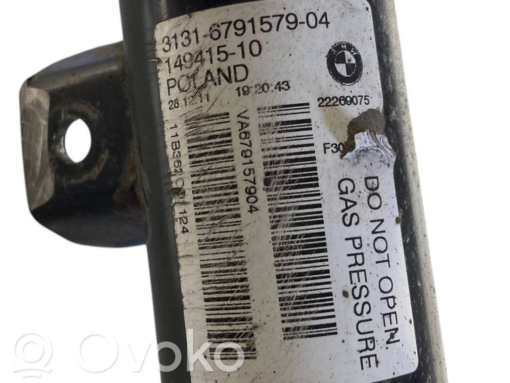 Front shock absorber with spring