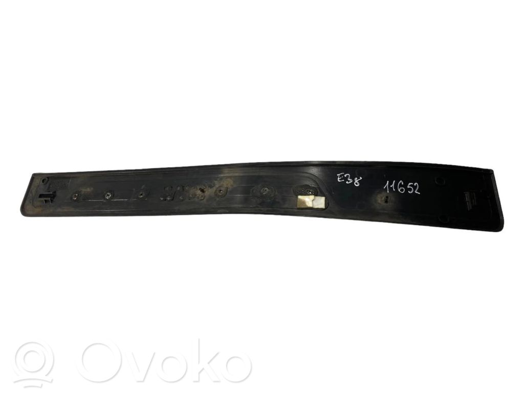 Rear door sill trim (inner)