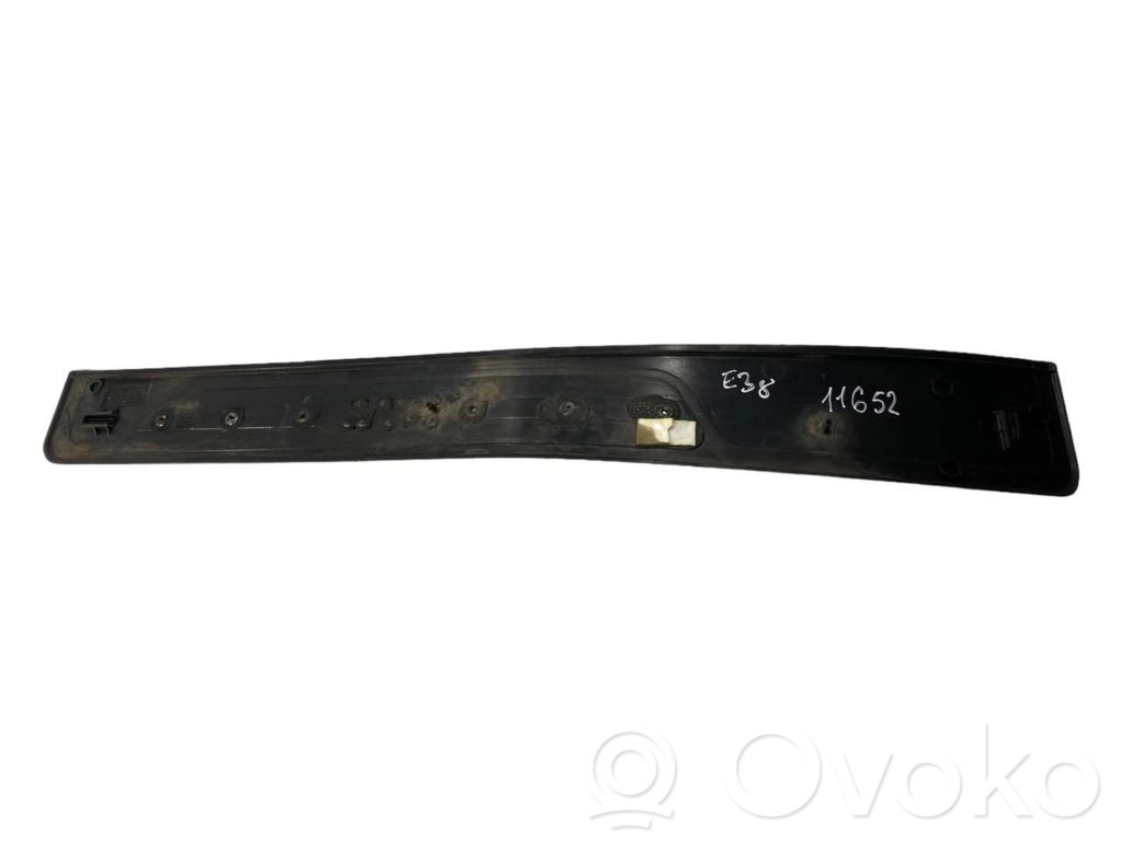 Rear door sill trim (inner)